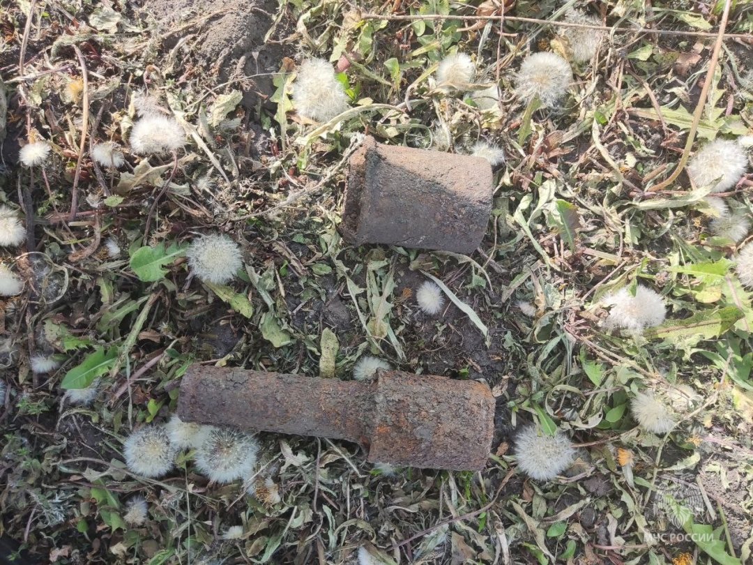 В районе улицы Тенистой в городе Строитель обнаружены взрывоопасные предметы